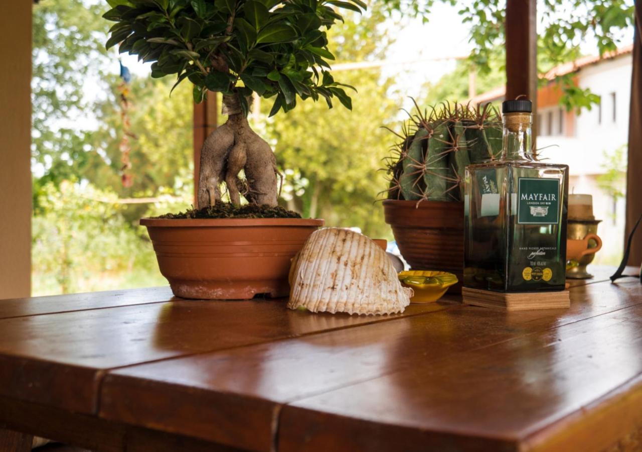 Santa Cruz Country Cottage Kallithea  外观 照片