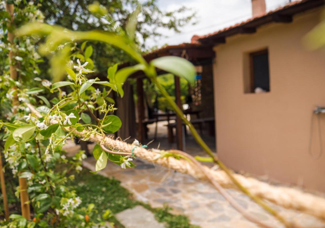 Santa Cruz Country Cottage Kallithea  外观 照片