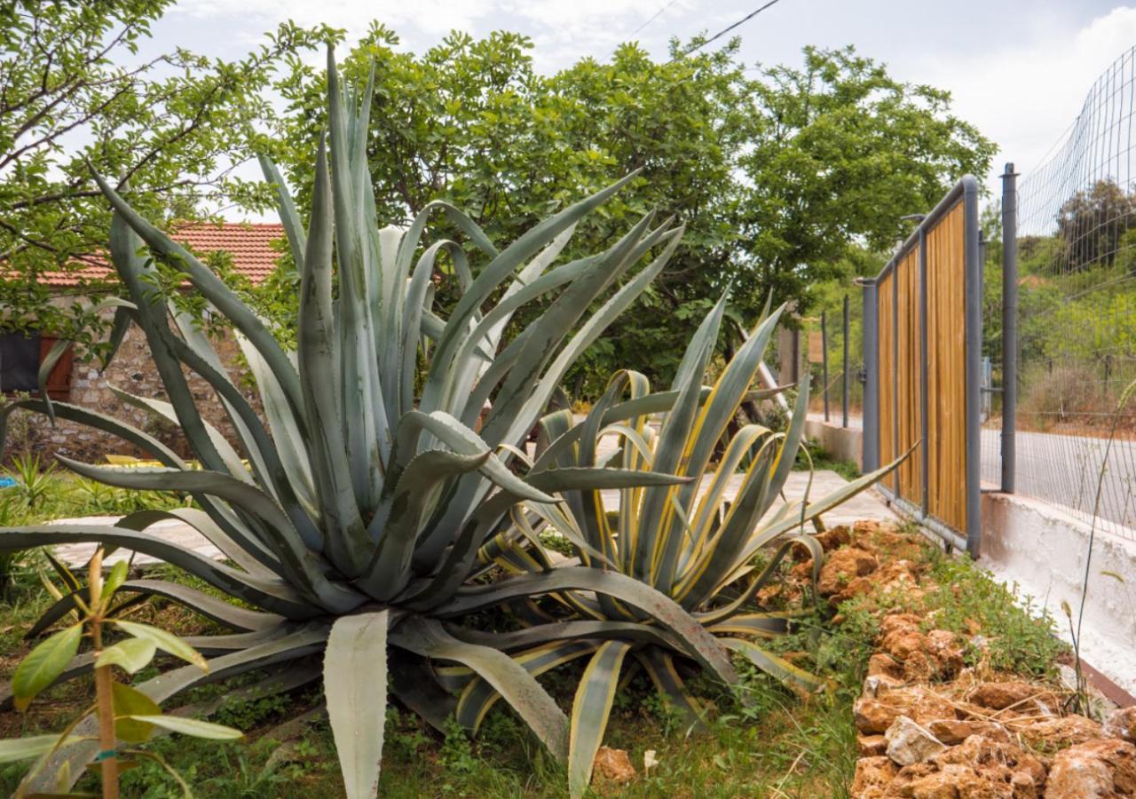 Santa Cruz Country Cottage Kallithea  外观 照片
