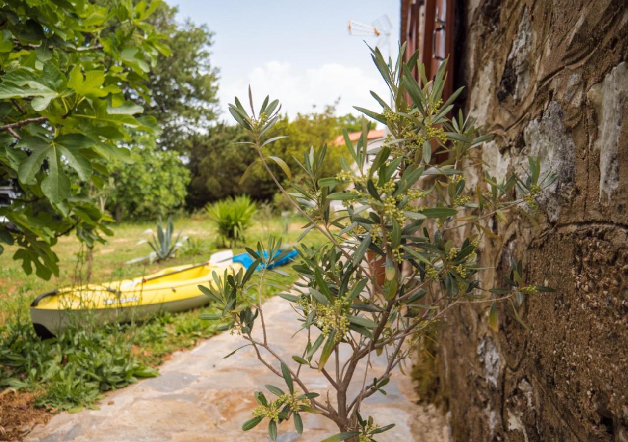 Santa Cruz Country Cottage Kallithea  外观 照片
