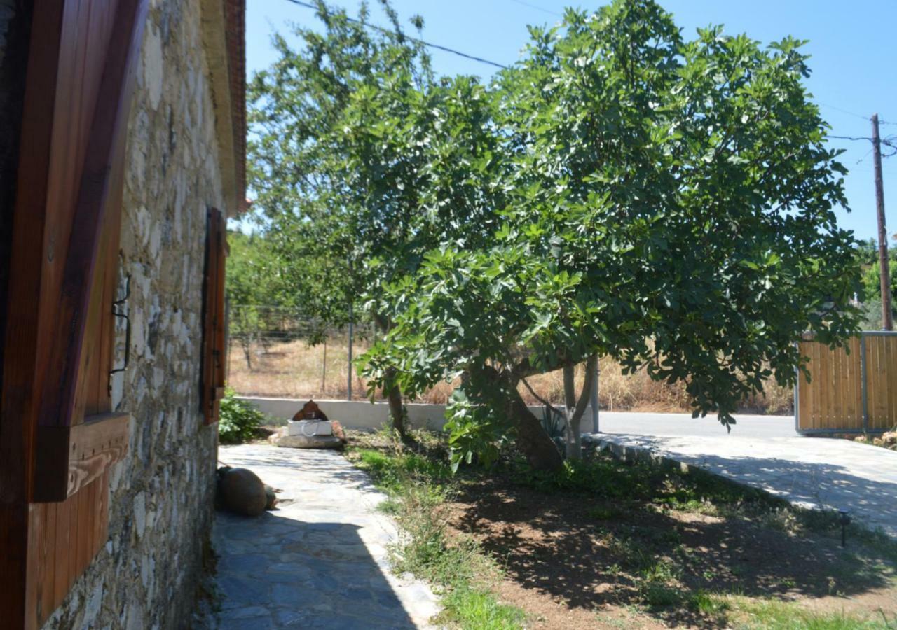 Santa Cruz Country Cottage Kallithea  外观 照片